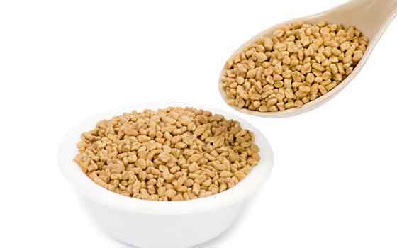 Fenugreek seeds