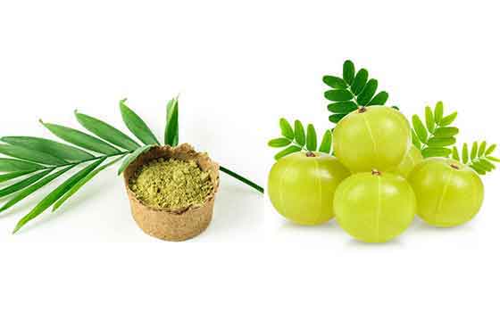 Amla and henna 