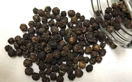 Black pepper 