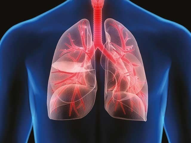 The lungs and fresh air breath...