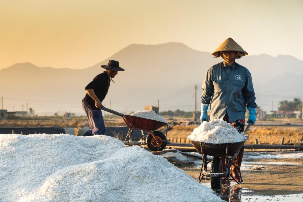 Table Salt vs Rock Salt